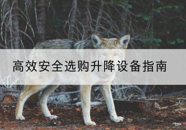 阿鲁科尔沁旗升降货梯厂家推荐-*安全选购升降设备指南