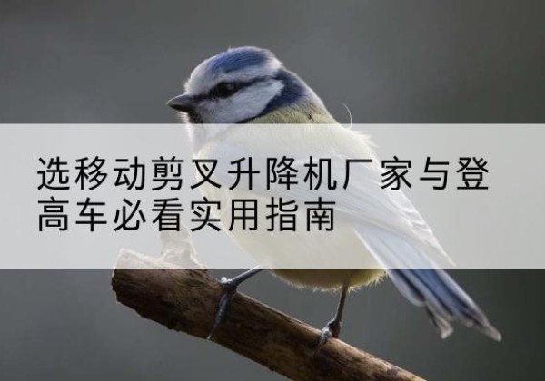 阿鲁科尔沁旗电动升降机厂家-选移动剪叉升降机厂家与登高车必看实用指南